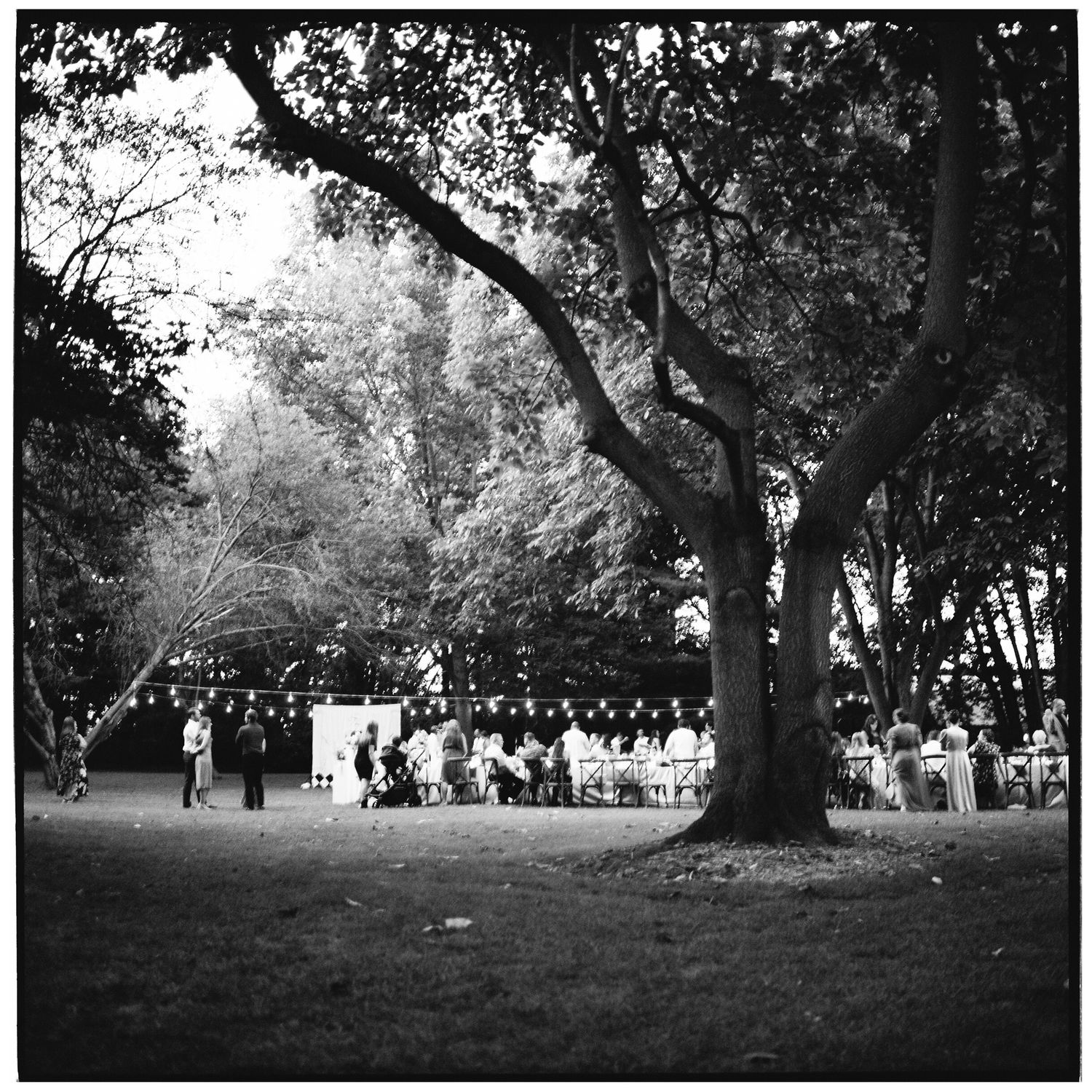 Black and white photograph of outdoor wedding ceremony under large trees.