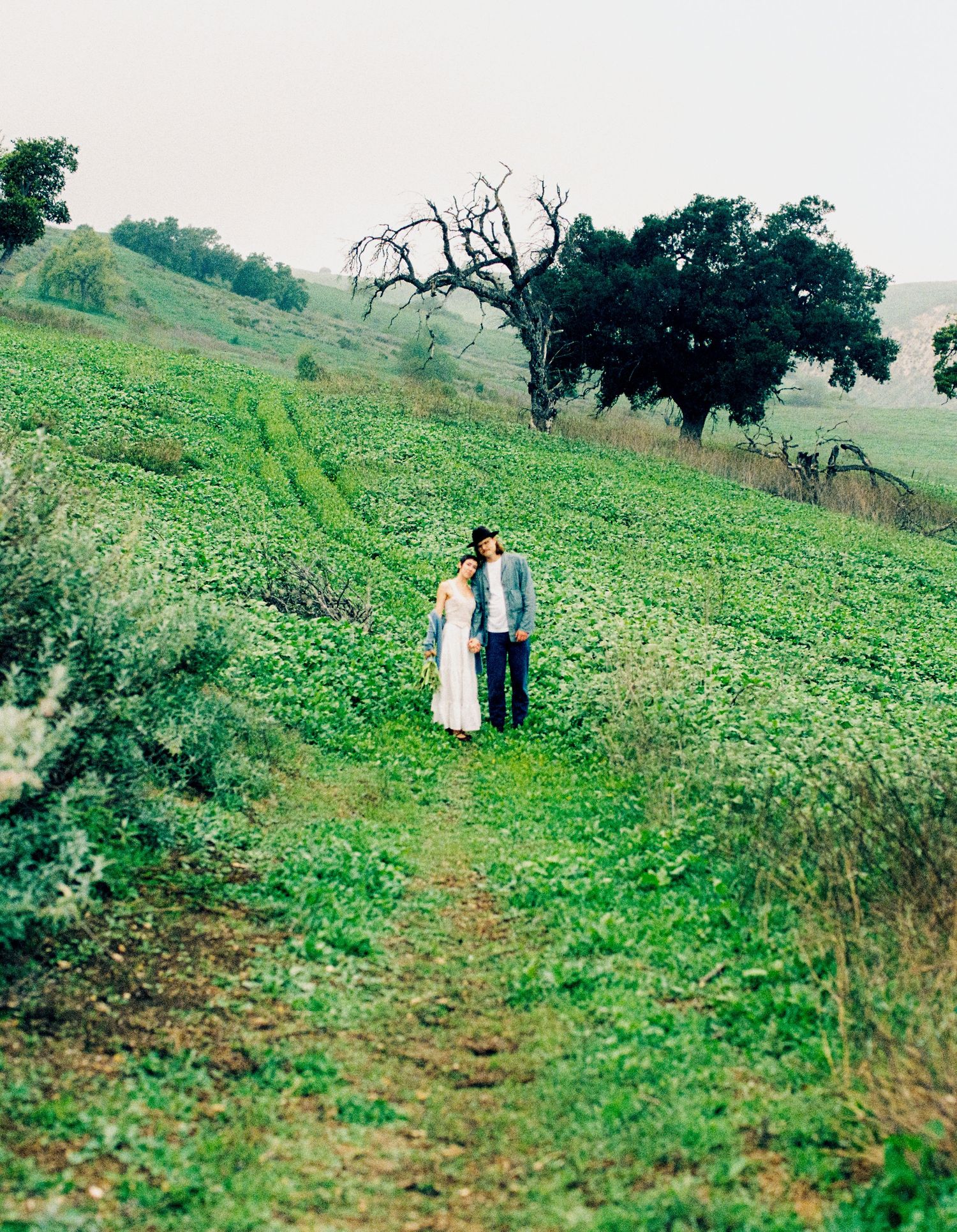 Two figures stand together on a green hillside path with bare trees and rolling hills in the background.