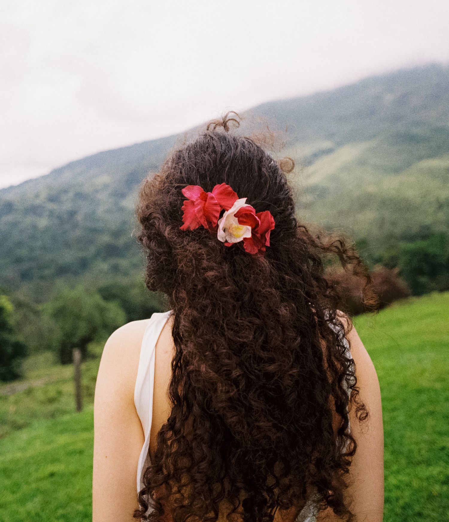 Back view of person with dark curly hair wearing flowers and white top against green mountainous landscape.