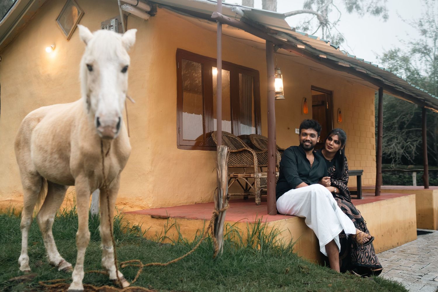 White horse stands outside adobe-style building with warm lighting.