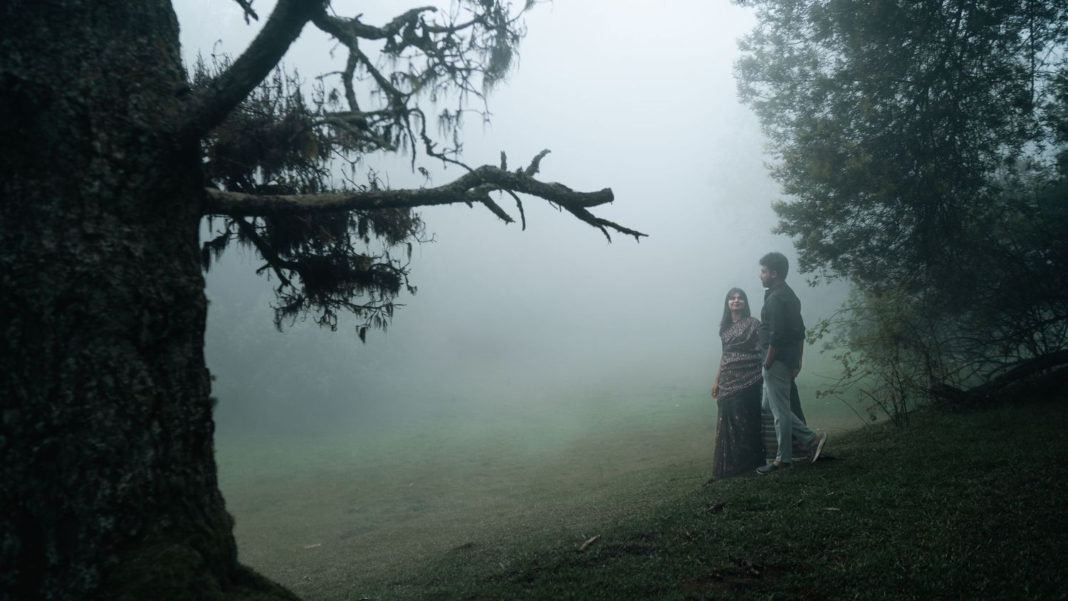 Silhouettes stand under gnarled tree branches in atmospheric fog.