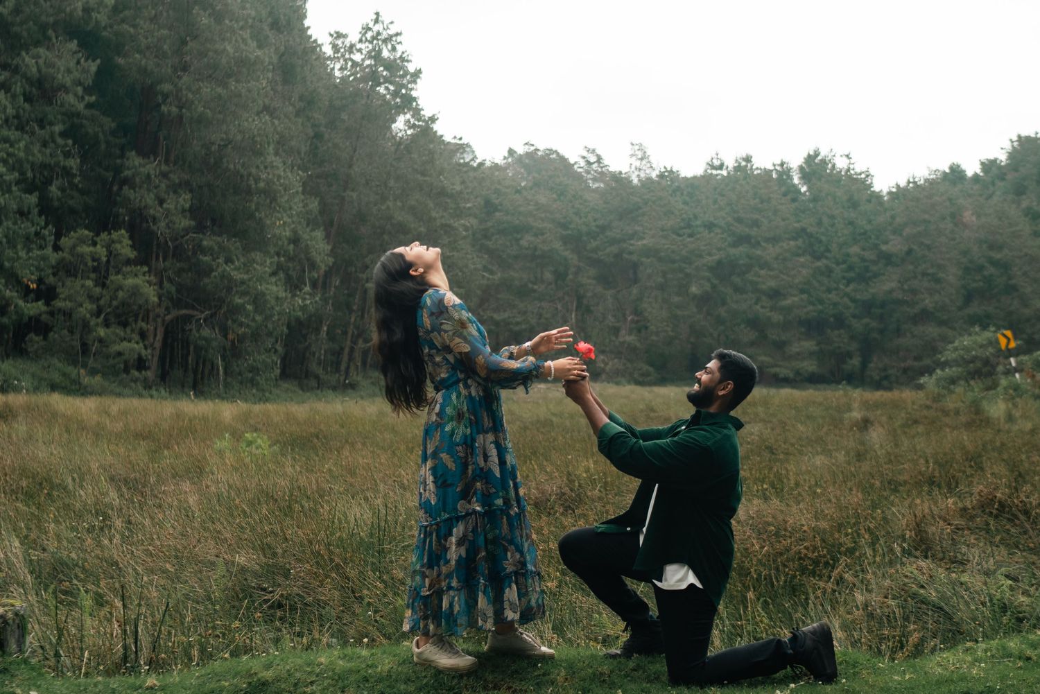 A romantic proposal scene in a grassy meadow with forest backdrop.