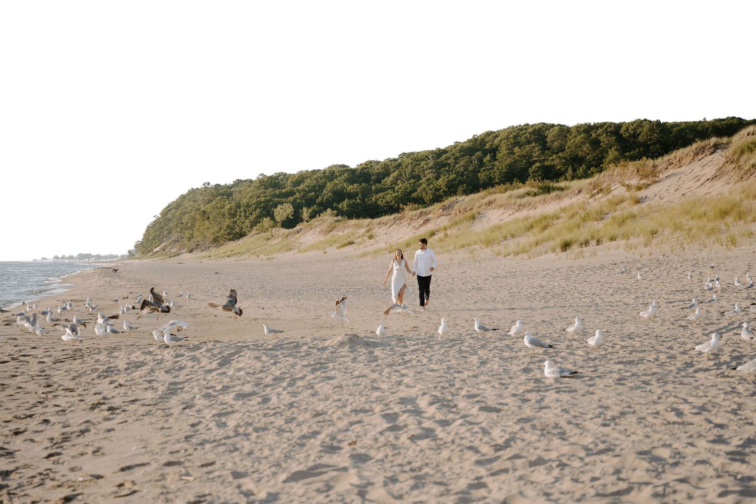 Two figures walk with their dog along a scenic beach dotted with seagulls.