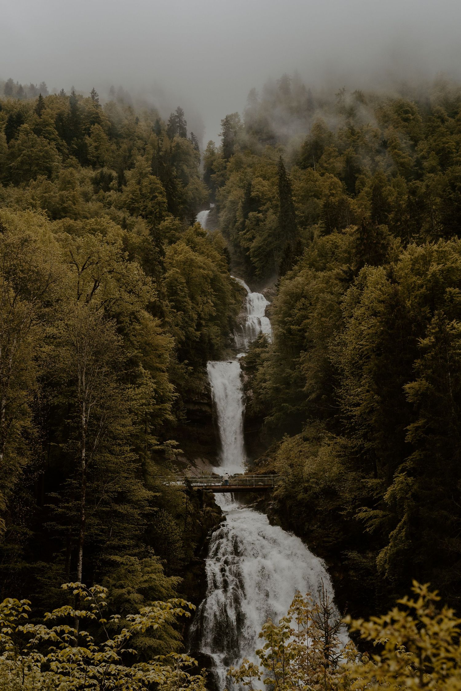 Dramatic waterfall cascading through misty forest in autumn.