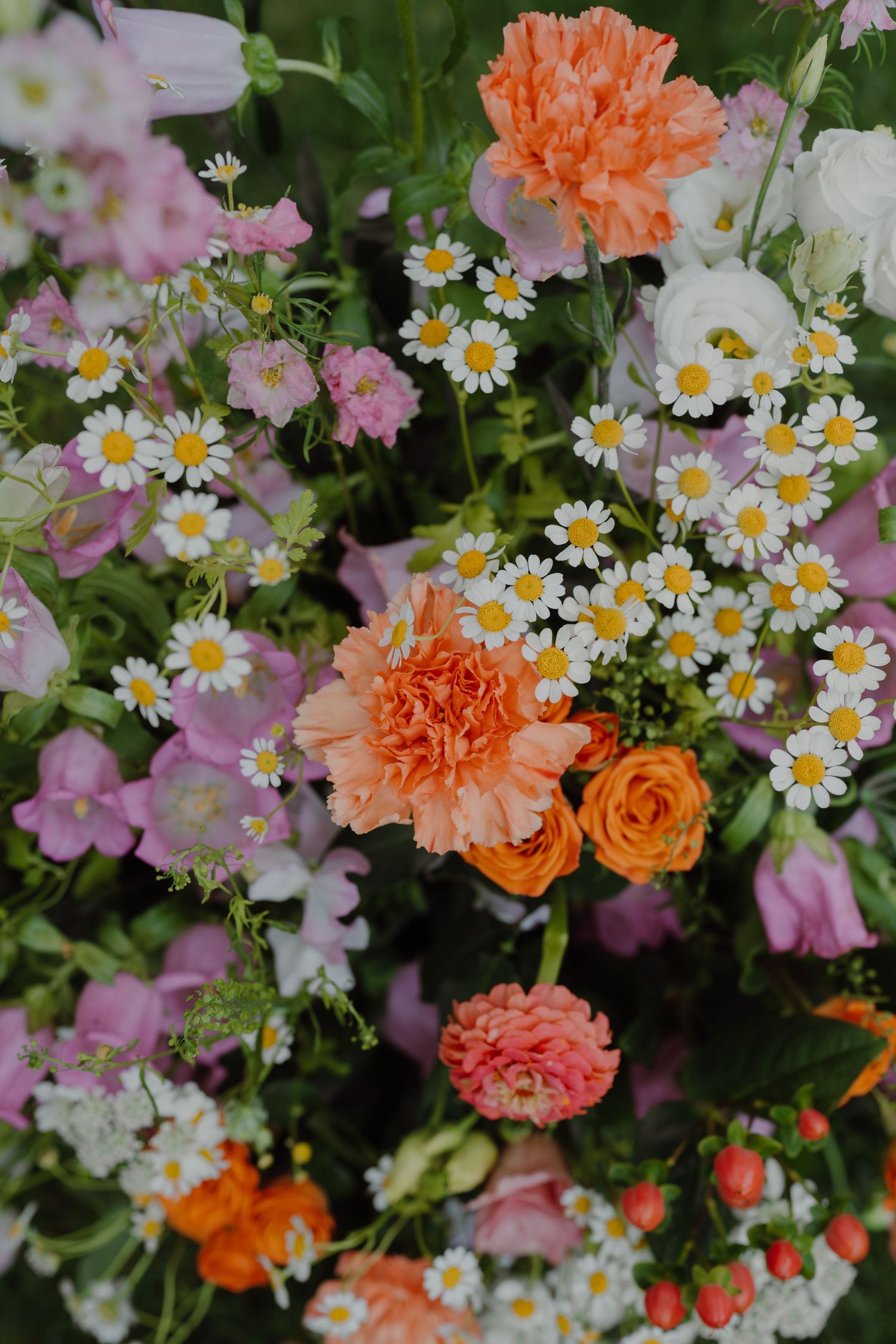 Close-up of colorful garden flowers with orange roses, pink blooms, and white daisies against dark foliage.