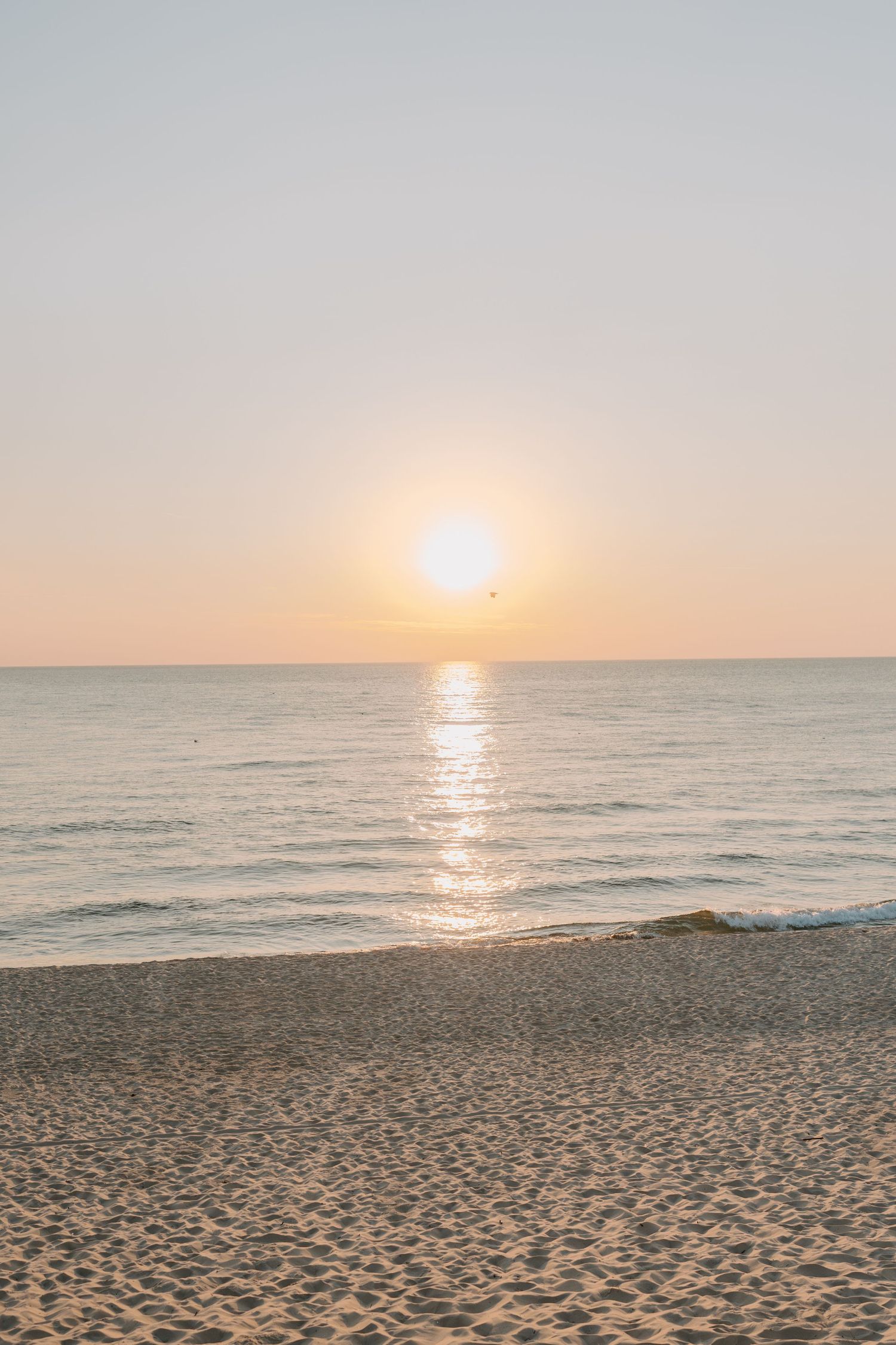 Golden sunset over calm ocean waters with sunlight reflecting on sandy beach.
