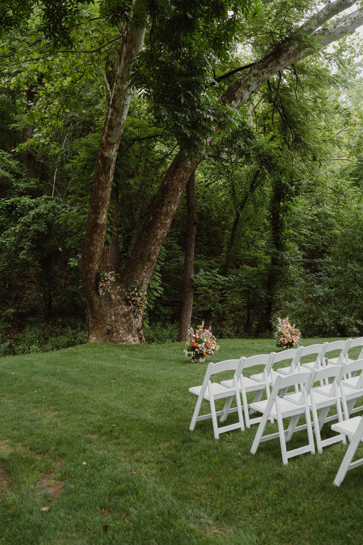 Wooded outdoor wedding venue with white chairs arranged on grass beneath tall trees.