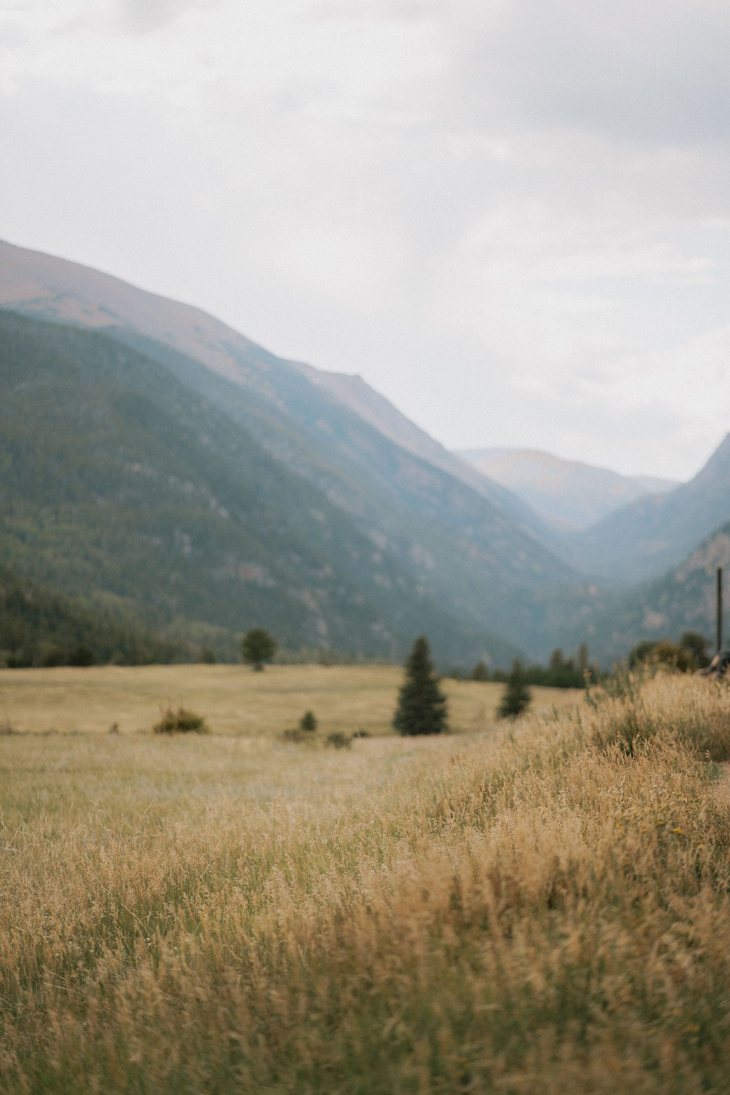 Rolling mountain valley with golden grass fields stretching into the distance.