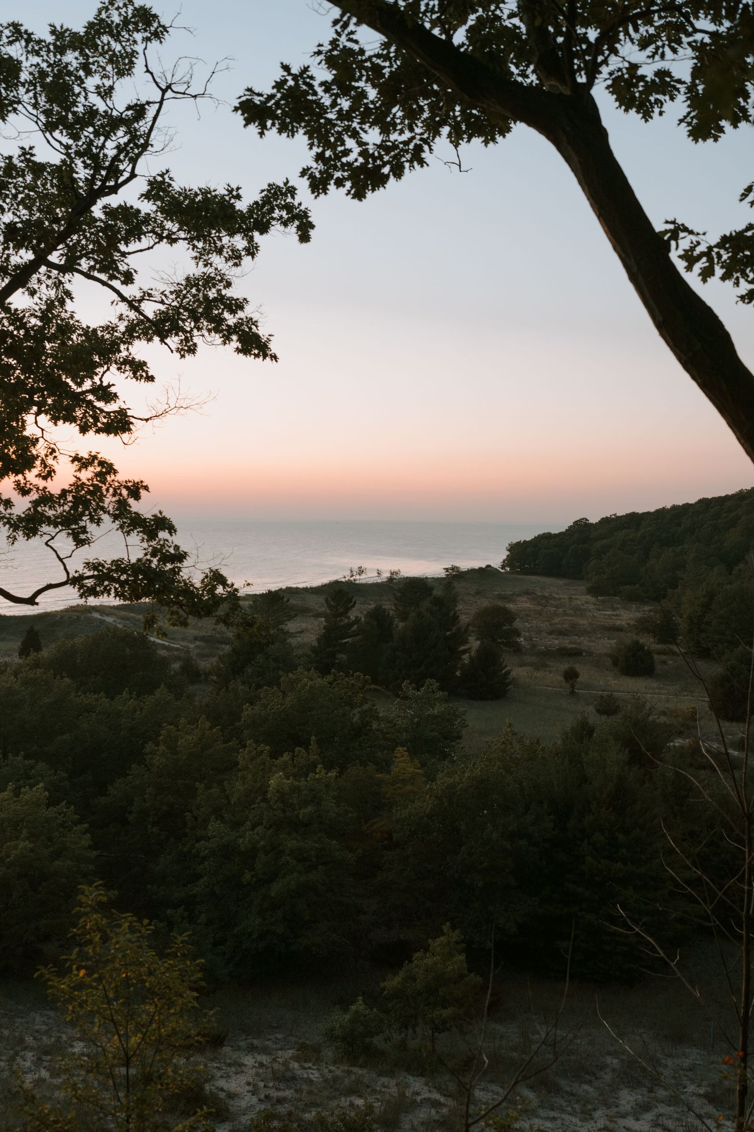 Scenic sunset landscape with tree silhouettes against a pastel sky.