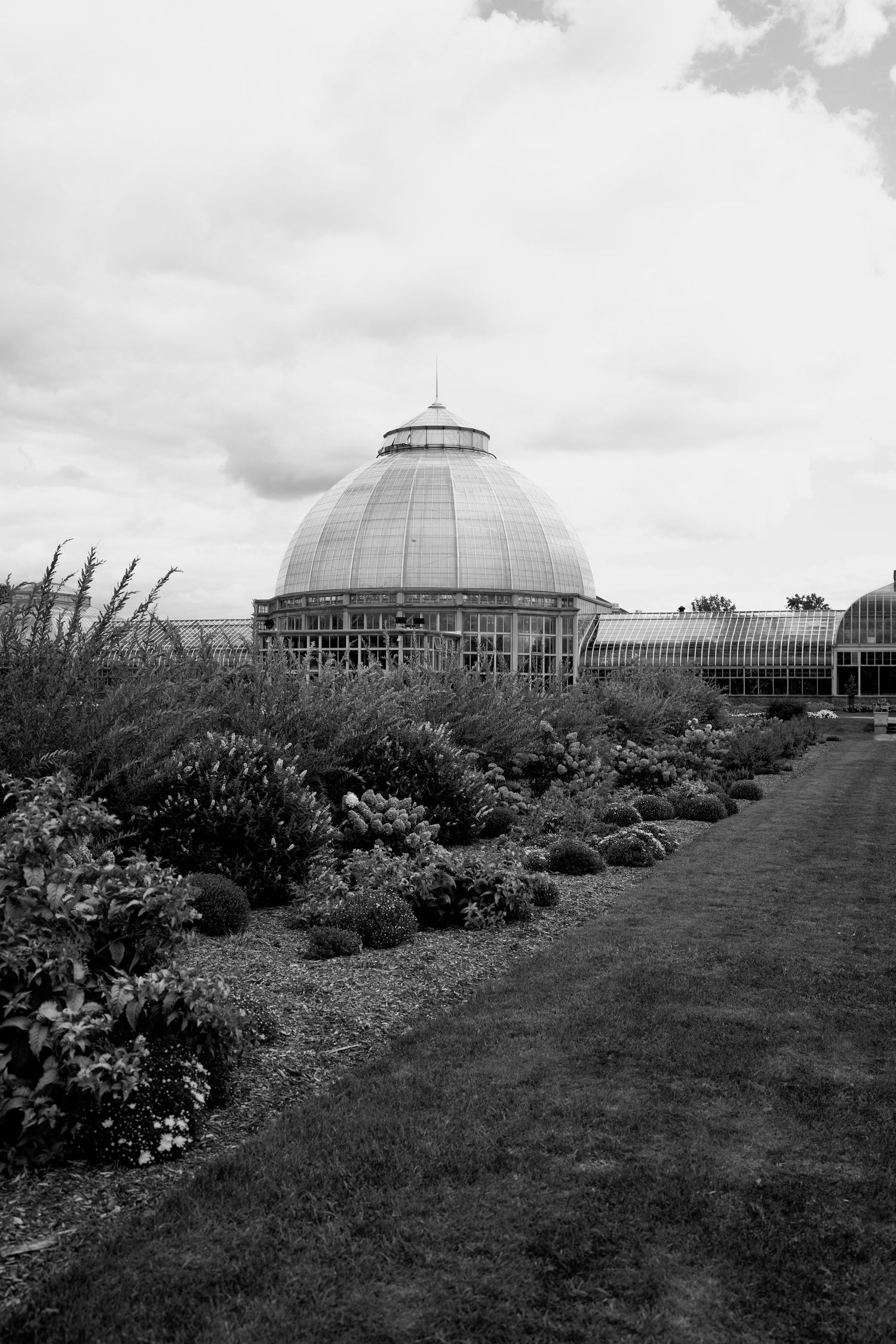 Black and white landscape of garden beds leading to a large glass conservatory.