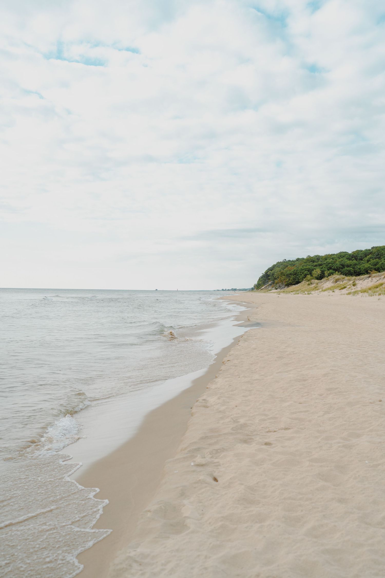 Pristine beach landscape with rolling waves and vegetated dunes under cloudy skies.