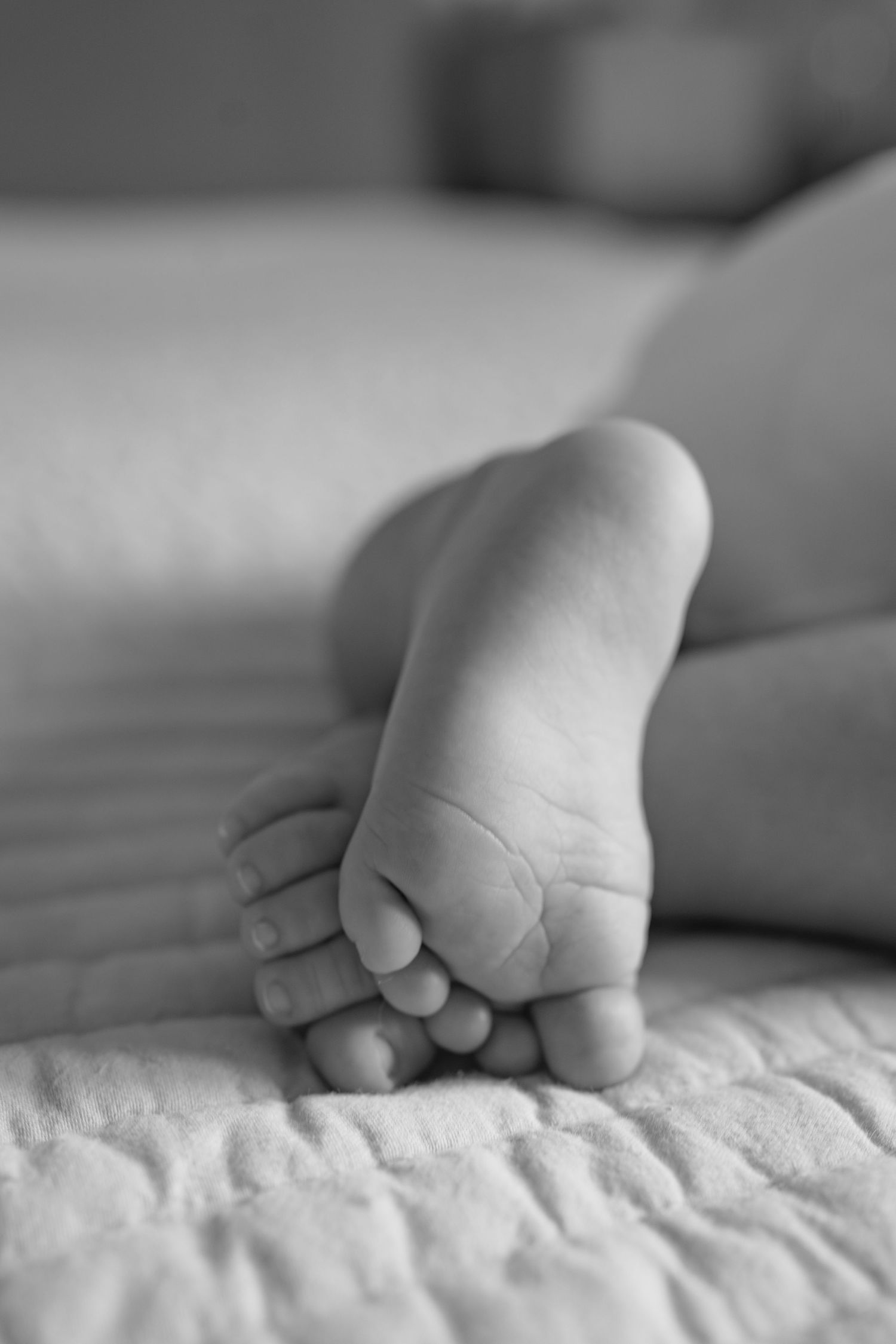 Close-up black and white image of tiny baby feet on textured bedding.
