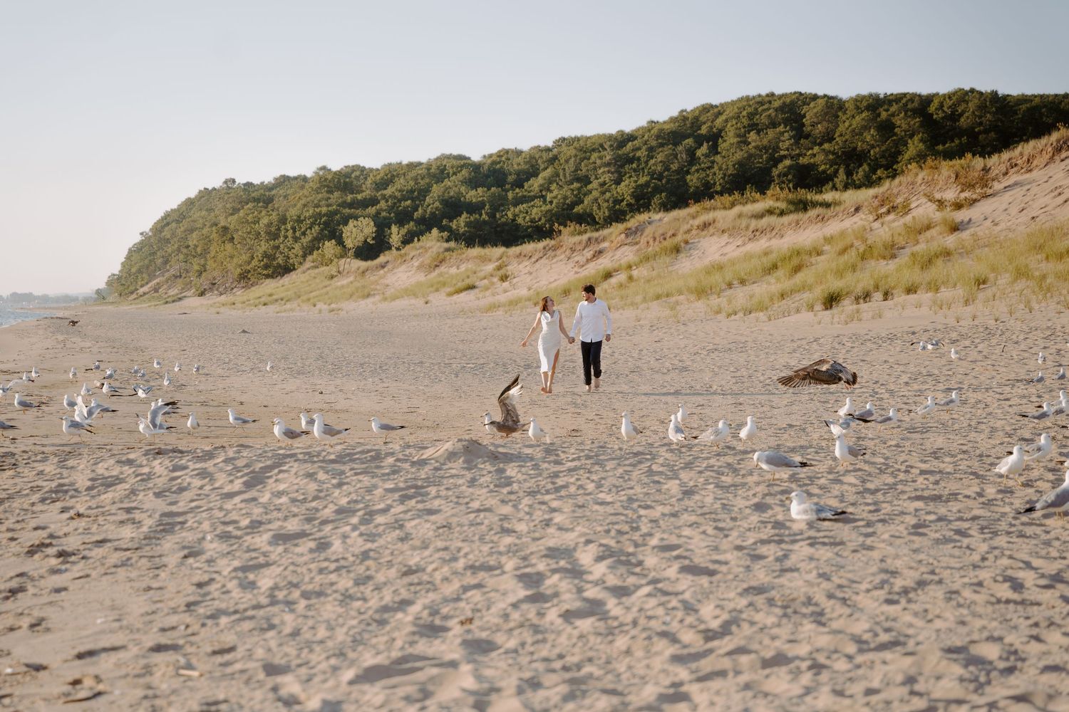 Seagulls gather on a beach as two people stroll near coastal cliffs at sunset.