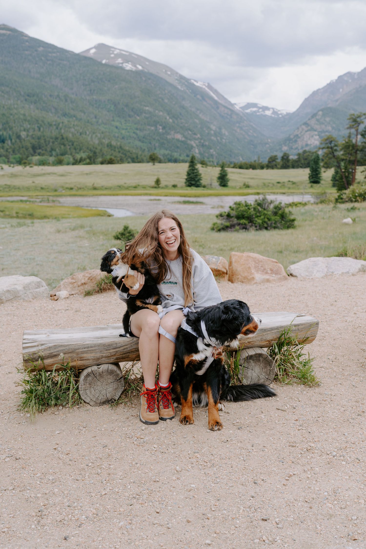 Two dogs and their companion rest on a log with scenic mountain views in the background.