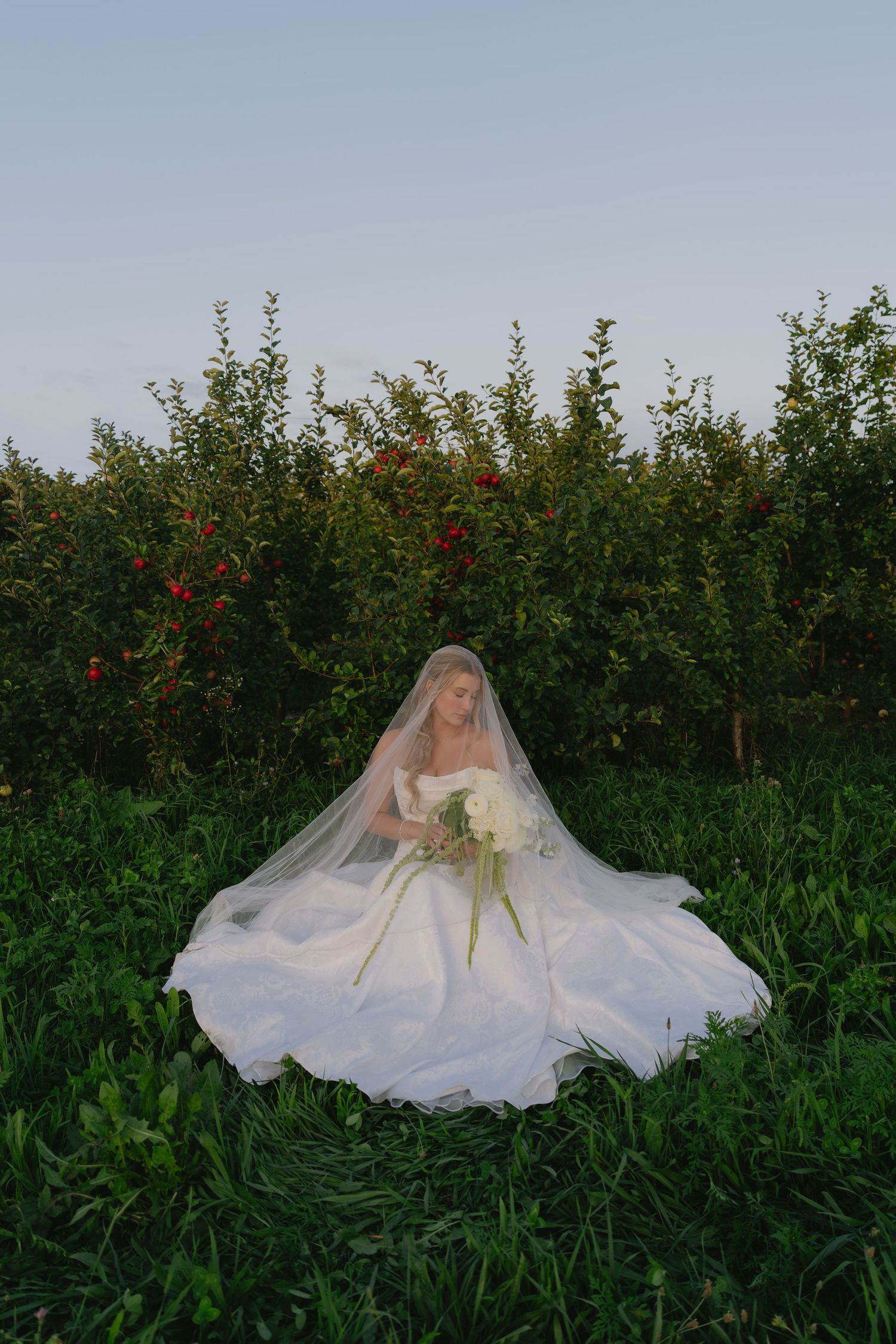 Bride in white ball gown and veil sits in lush green apple orchard holding white bouquet.