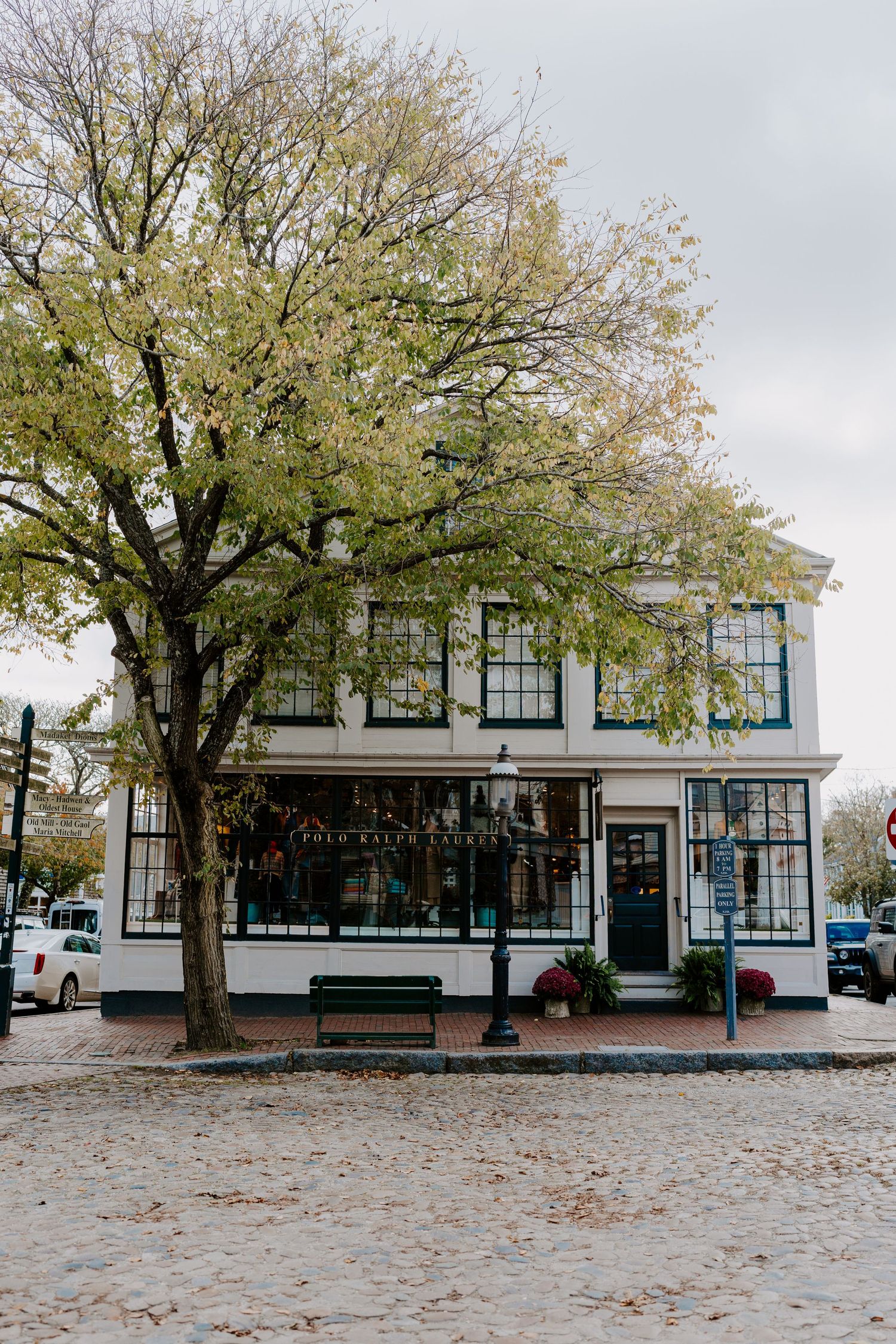 Historic storefront building with large windows under a sprawling tree on a cobblestone street.