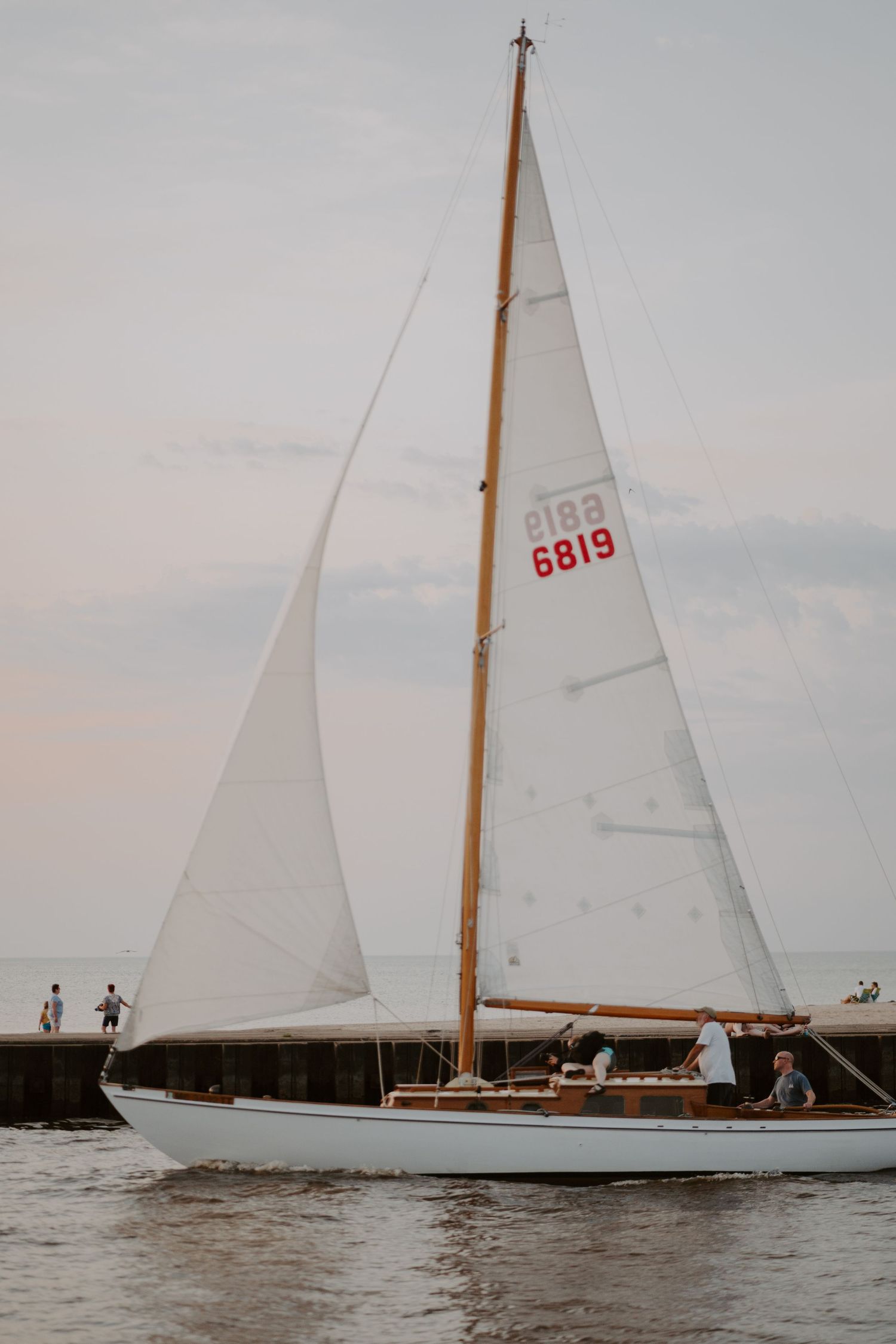 Multiple white sailboats glide across calm waters during an overcast day.