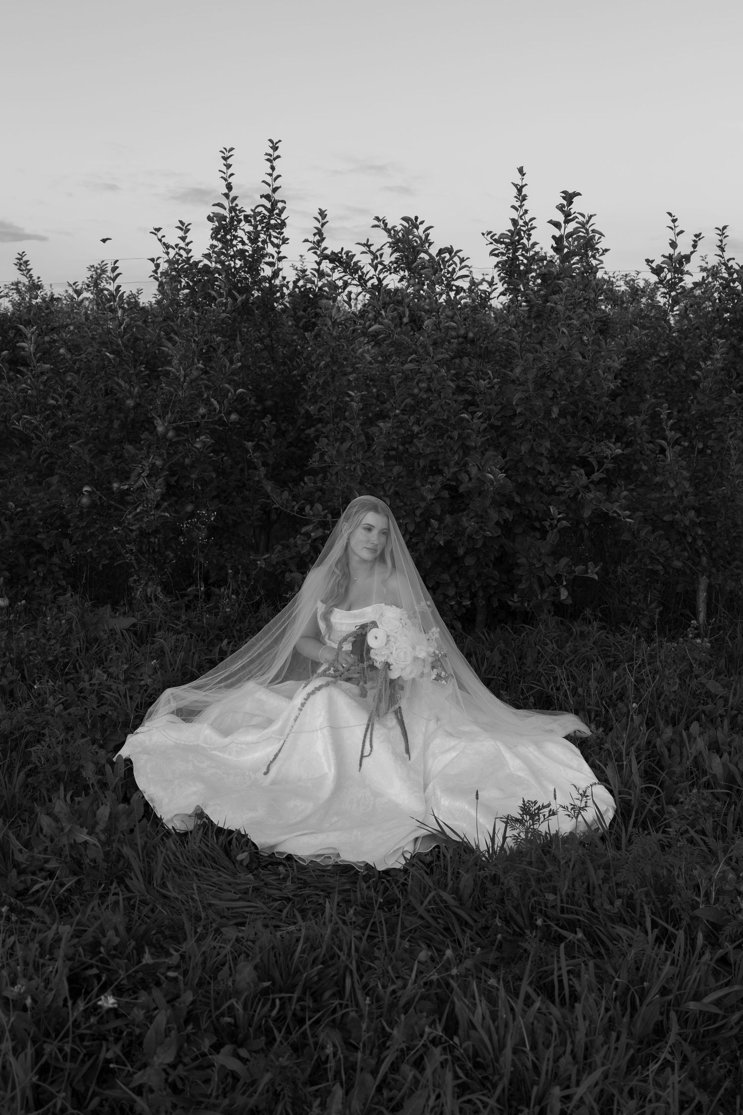 Black and white photo of a bride in a flowing gown and veil sitting in a lush orchard at dusk.