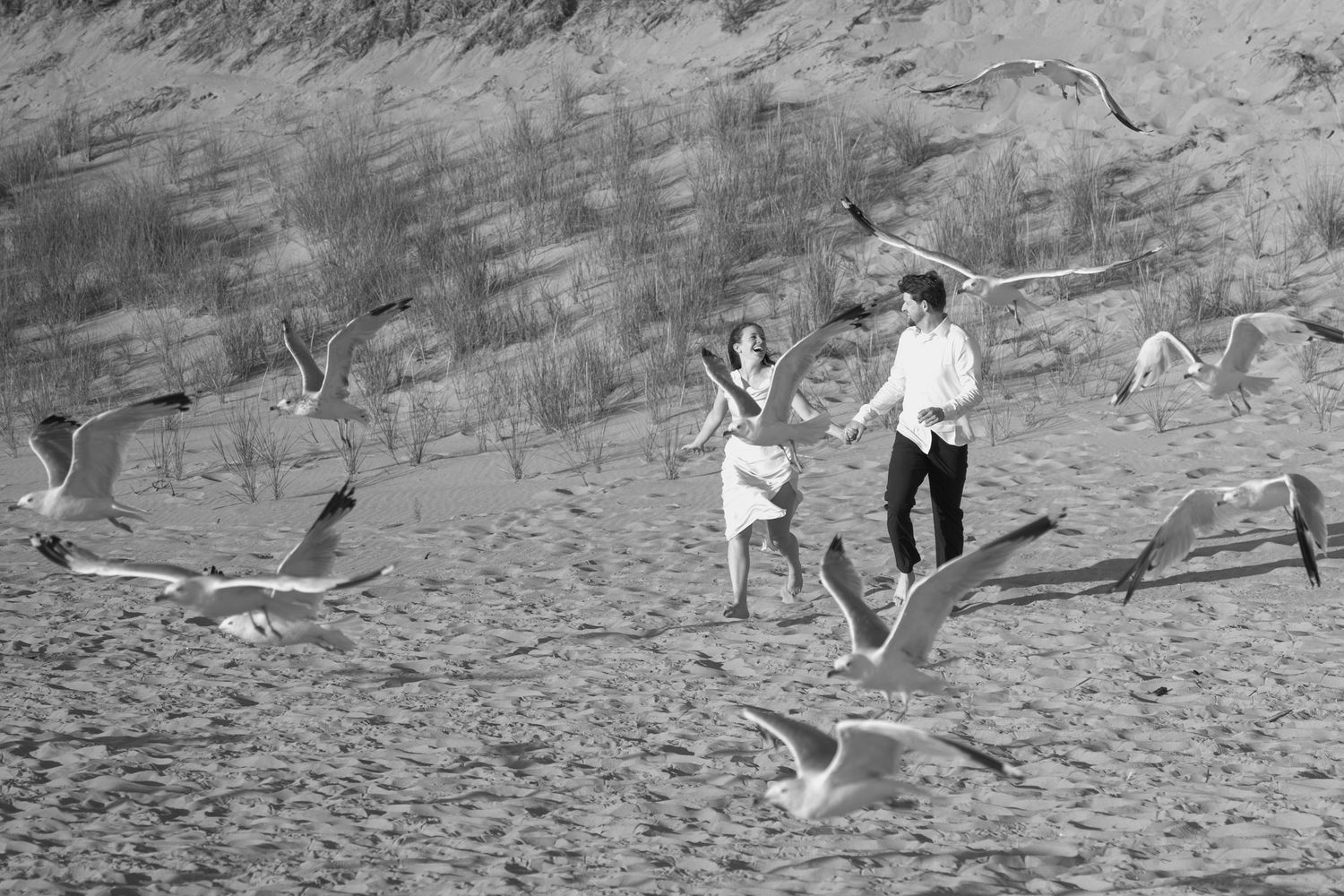 People playing with seagulls on a sandy beach in black and white photography.