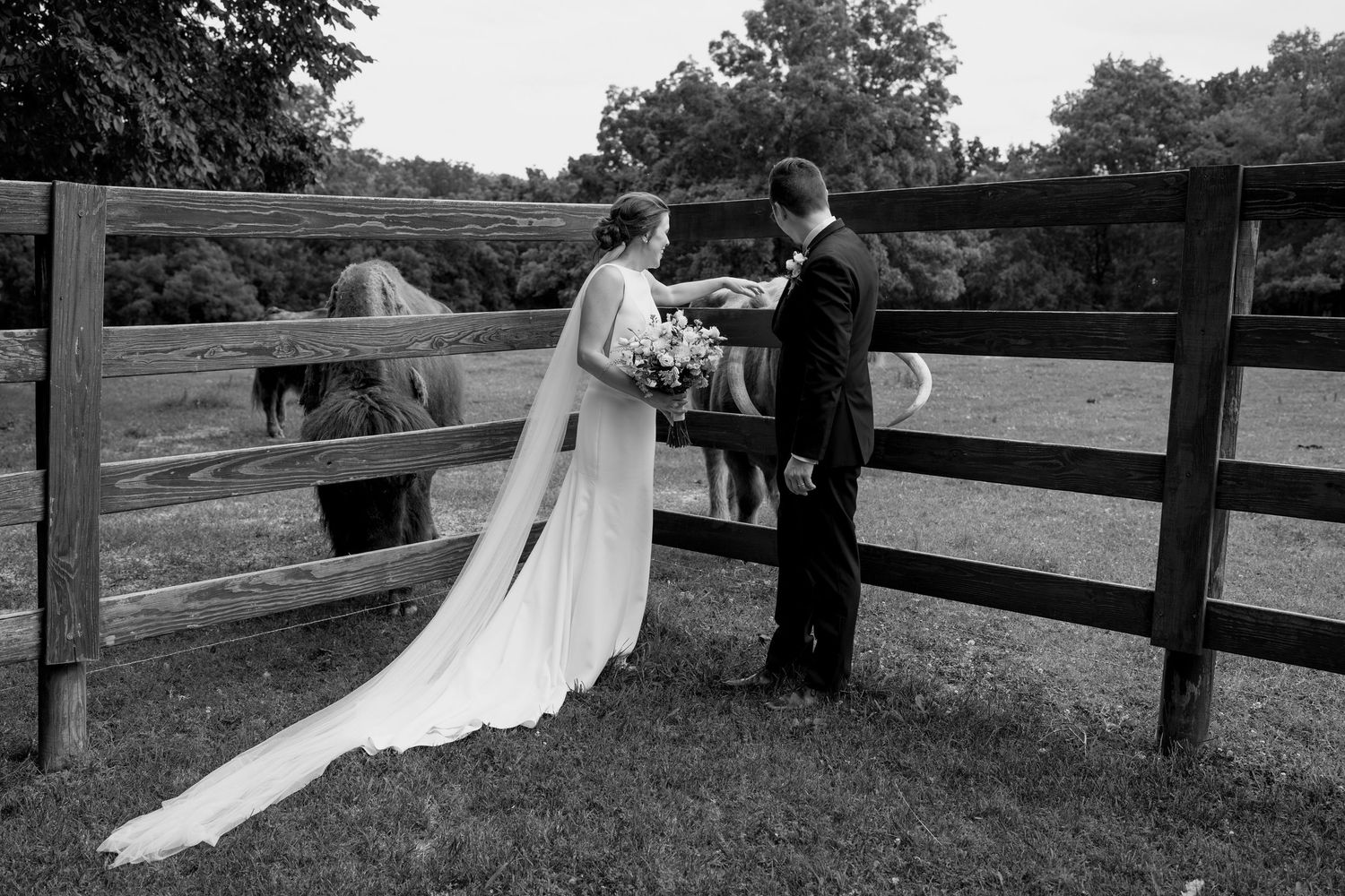 Black and white wedding photography capturing moments near a wooden fence with pastoral backdrop.