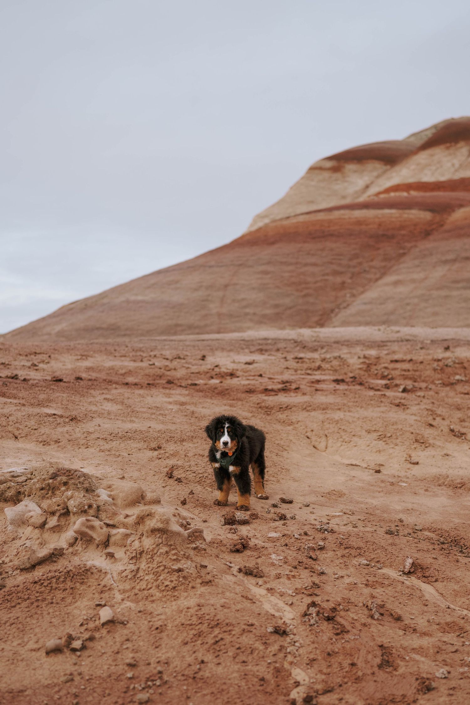 Small figures explore vast red rock desert formations under cloudy skies.