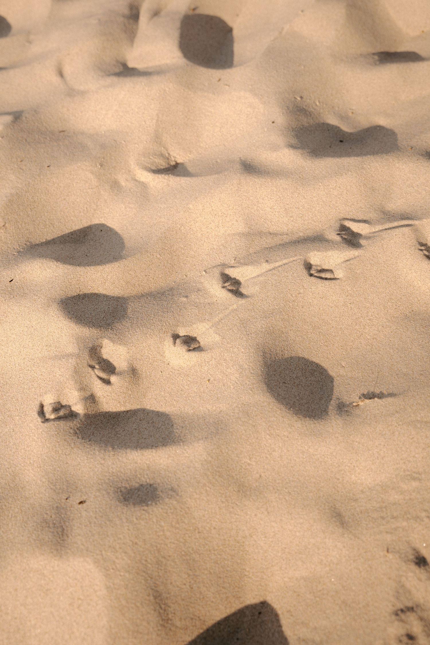 Textured sand patterns with rippling shadows and footprints on a beach.