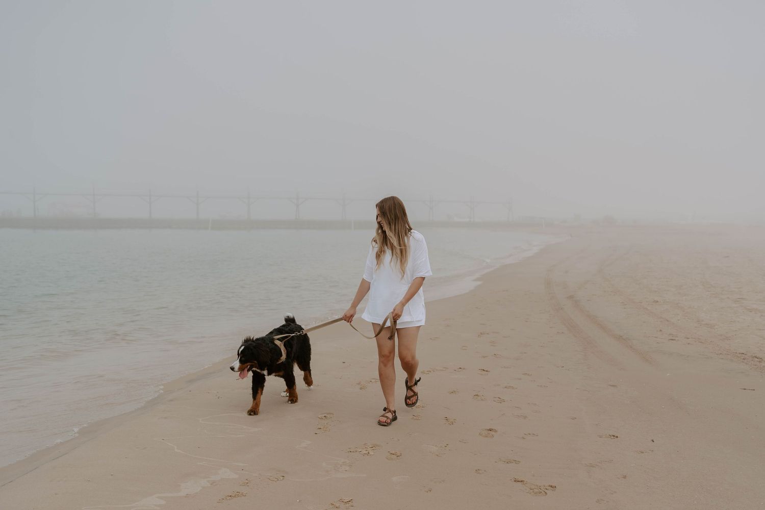 Person walking dog on empty foggy beach at sunset.