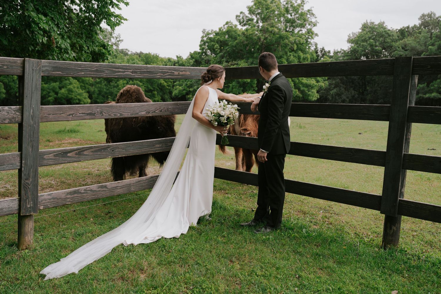 Wedding ceremony candid moments unfolding by a rustic fence with green fields in background.