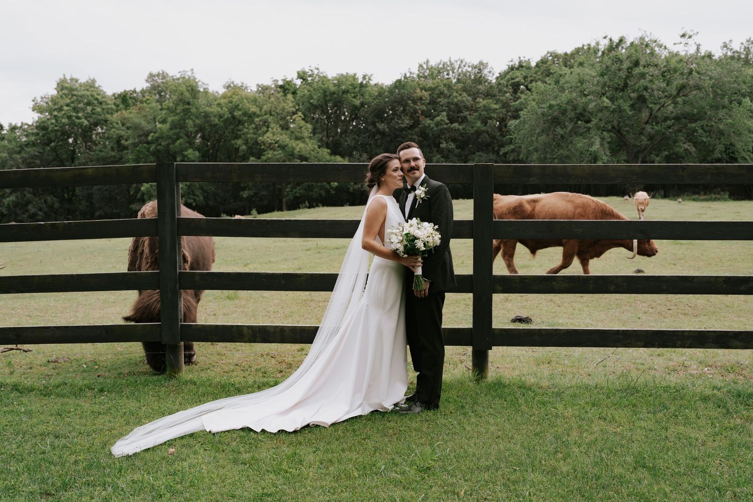 Wedding couple embraces by rustic fence posts with horses and green pastures in the distance.