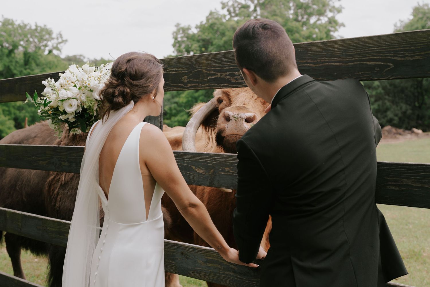Candid wedding moments photographed beside a rustic wooden fence with natural landscape behind.