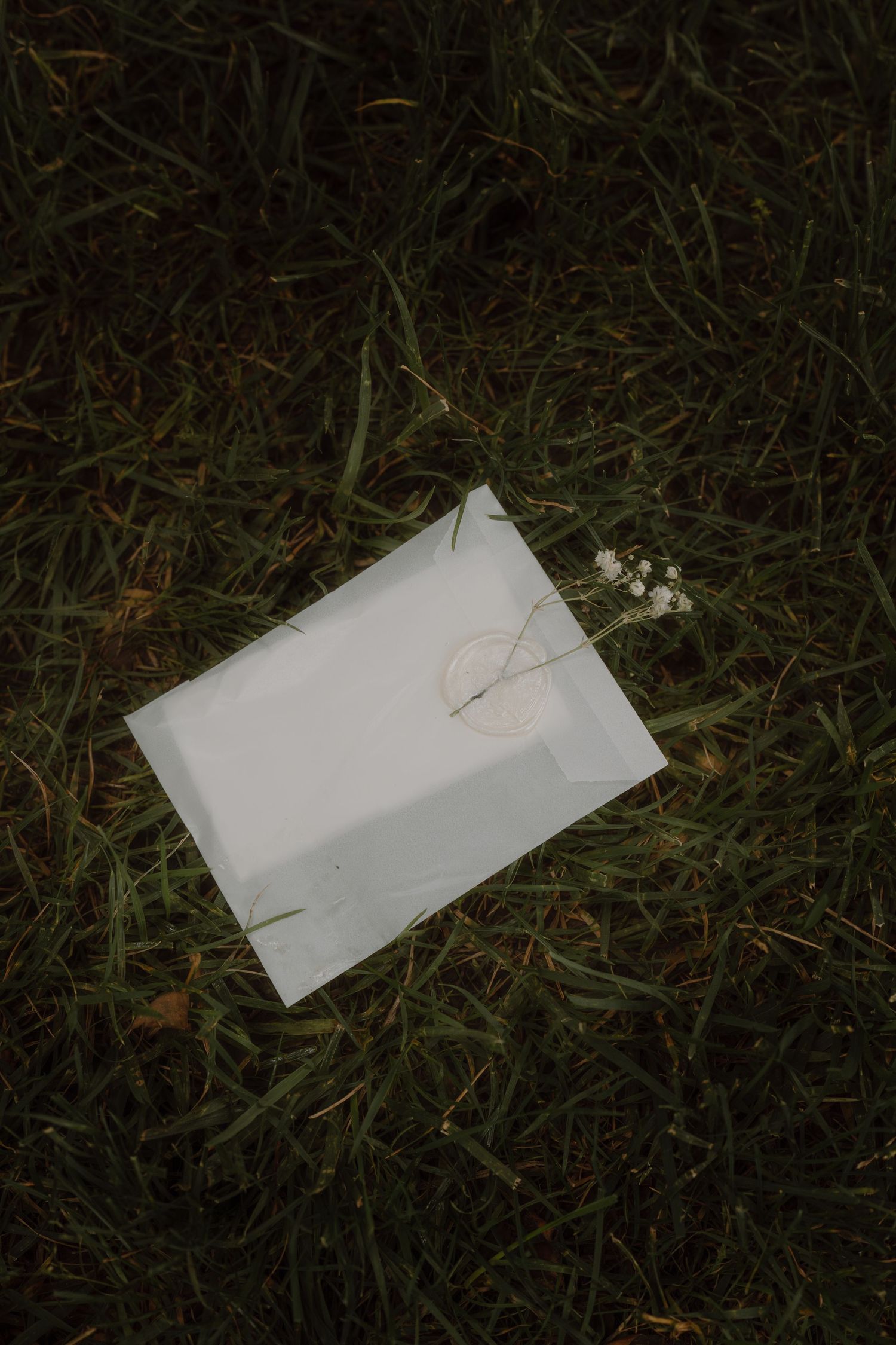 White paper programs scattered on dark grass at dusk.