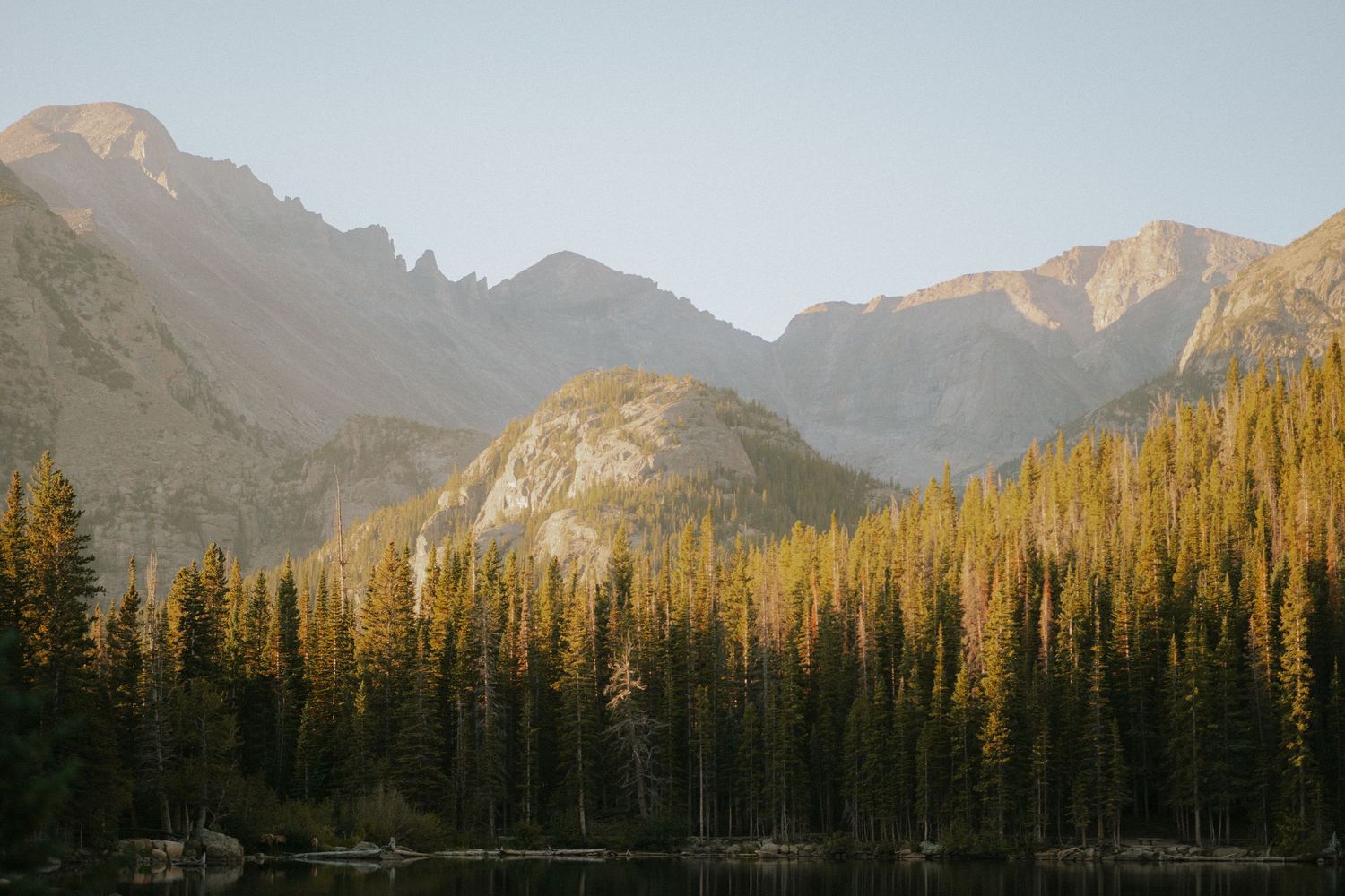 Golden sunset light illuminating mountain peaks above a dense evergreen forest.