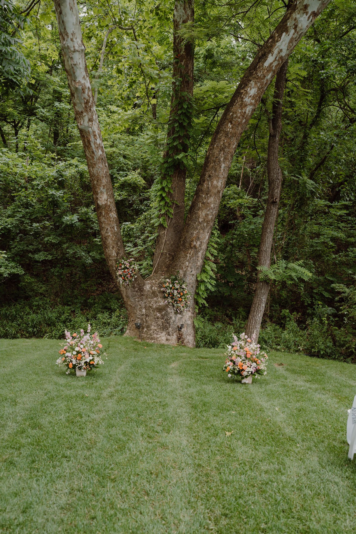 Outdoor wedding ceremony setup with floral arrangements at the base of tall trees.
