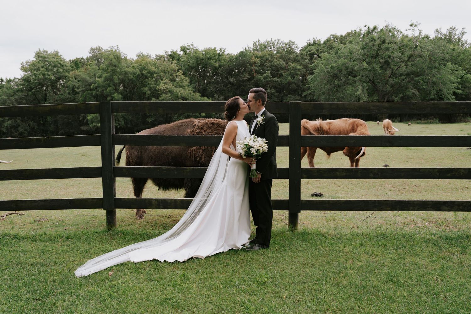 Romantic countryside wedding photos with couple posing near wooden fence and grazing horses.