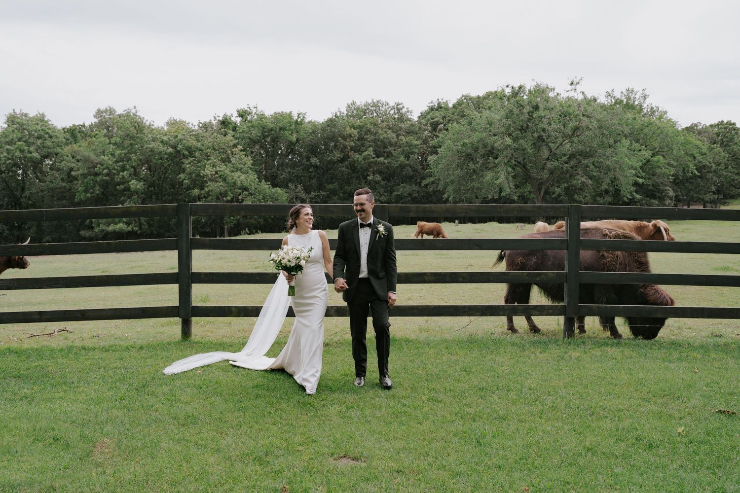 Panoramic view of wedding couple taking photos in pastoral farm setting with wooden fences.