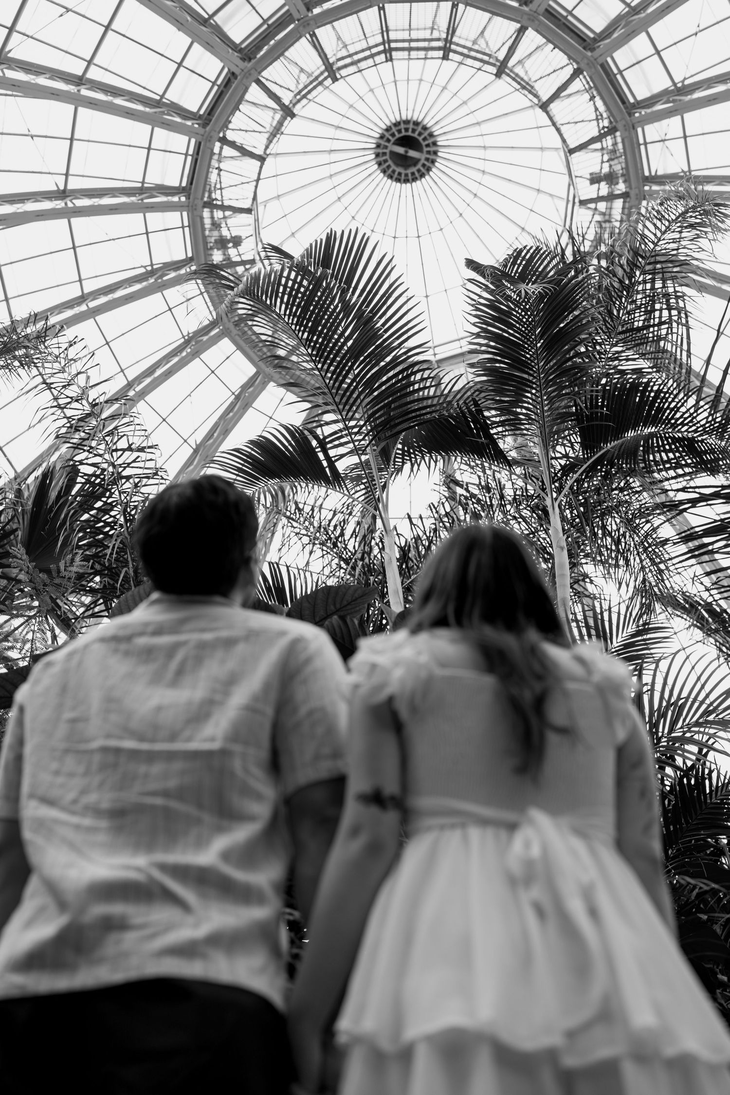 Silhouettes against a glass conservatory ceiling with palm fronds creating dramatic shadows.