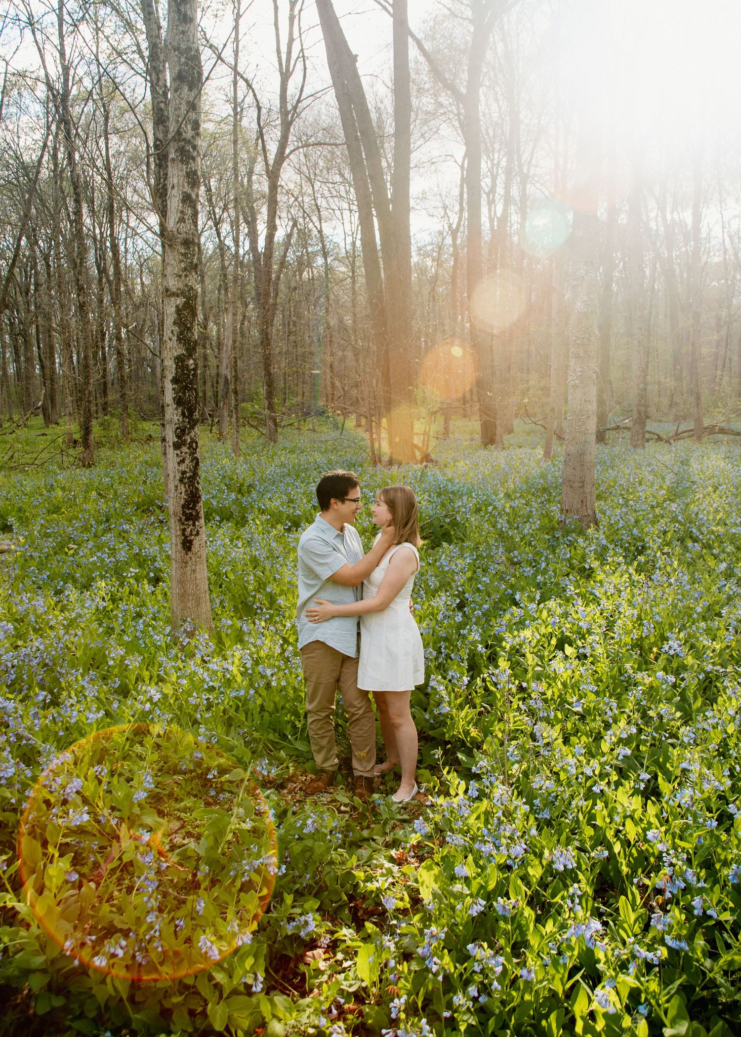 Engagement photos in Russel Woods by Emily Earll Photos