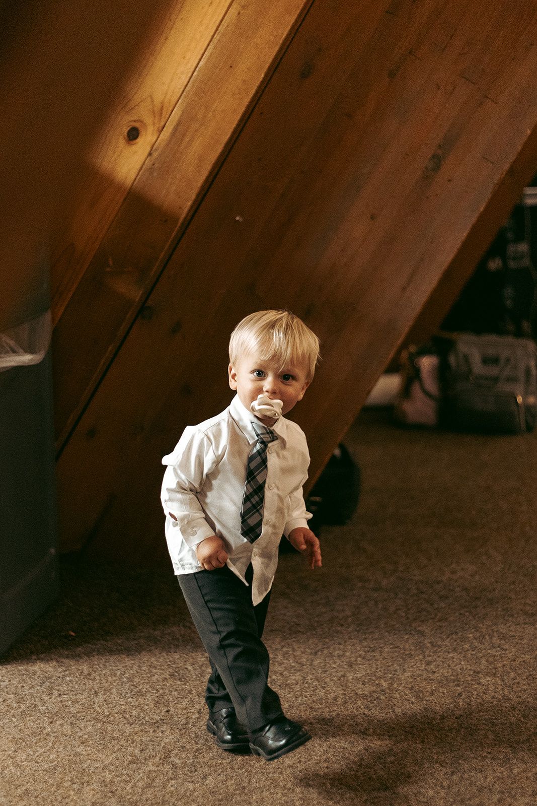 Emily and Noah's Wedding the reception by Thomas and Co. Photography
