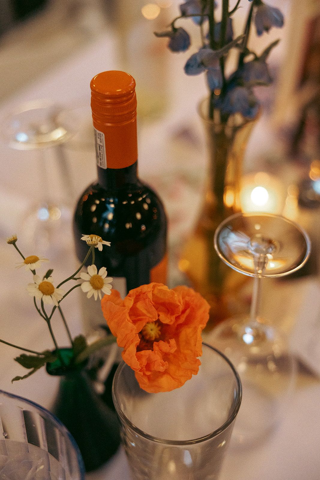 Emily and Noah's Wedding the reception by Thomas and Co. Photography