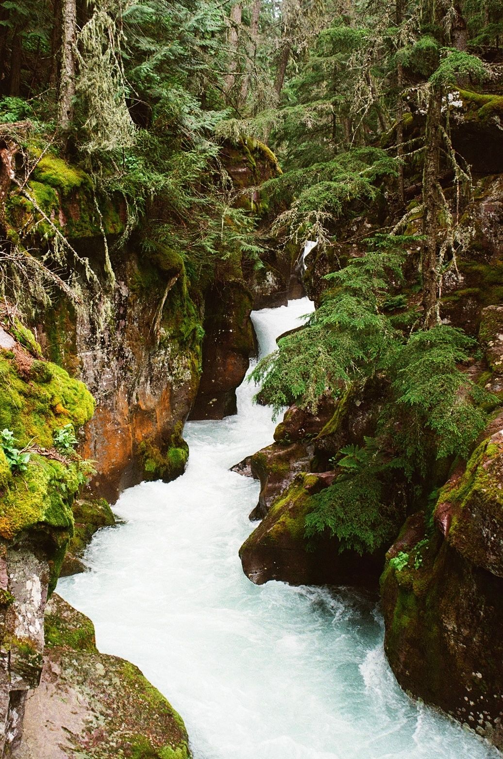 Glacier National Park on film, Emily Earll Photos