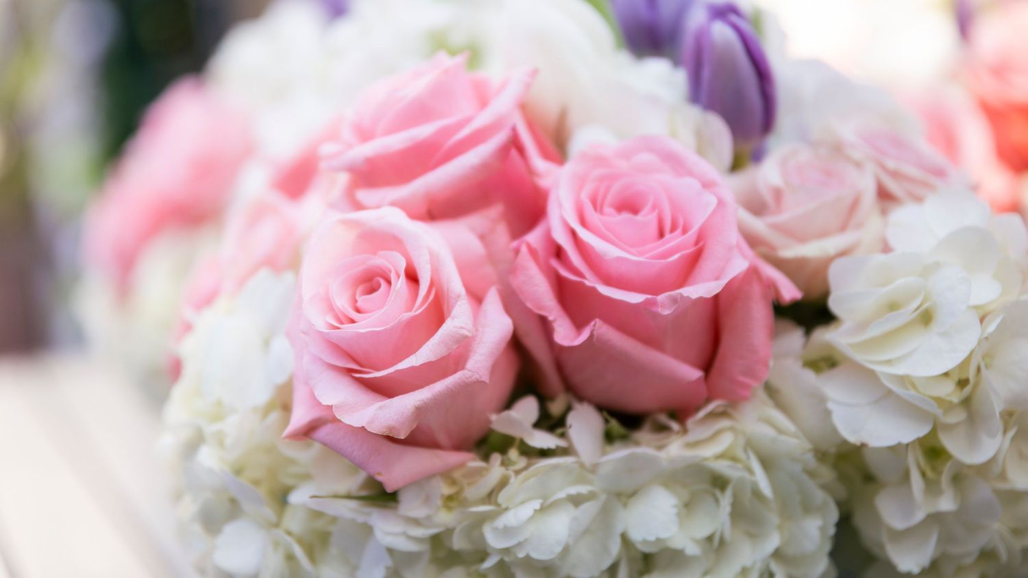 Close-up of pink roses and white hydrangeas in an elegant floral arrangement.