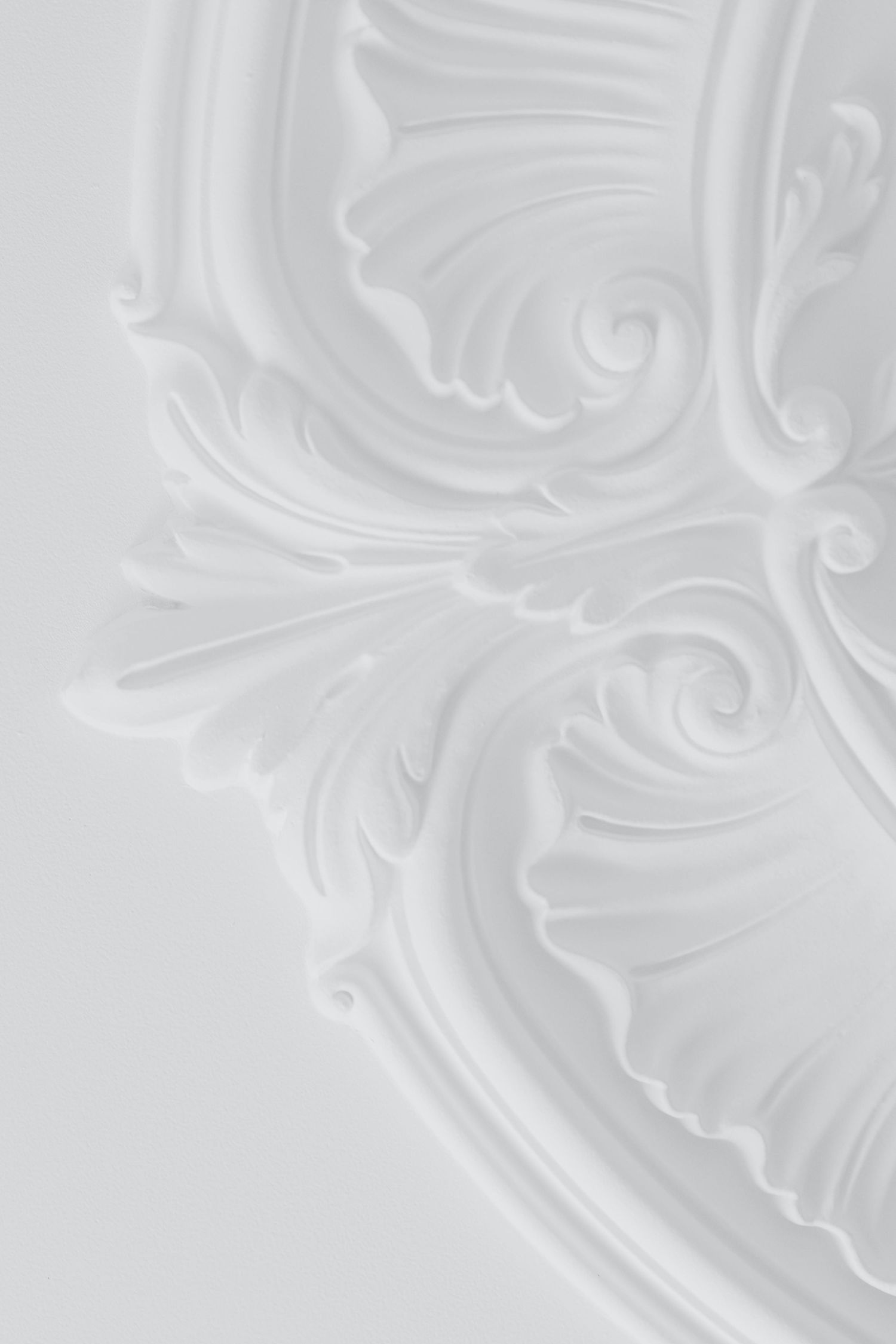 White plaster ceiling medallion with ornate baroque acanthus leaf scrollwork relief design on a light gray background.