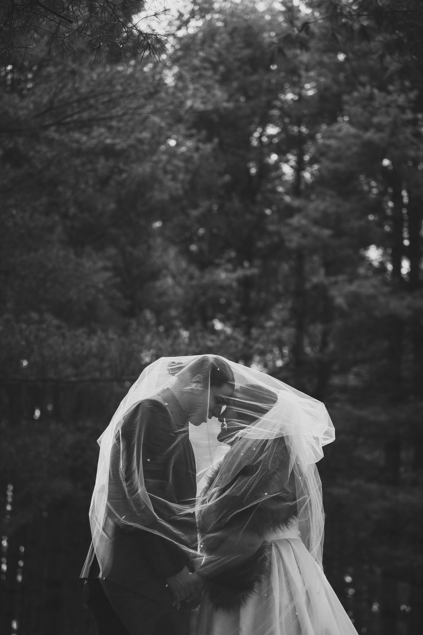 A flowing wedding veil catches the breeze in a dramatic black and white portrait.