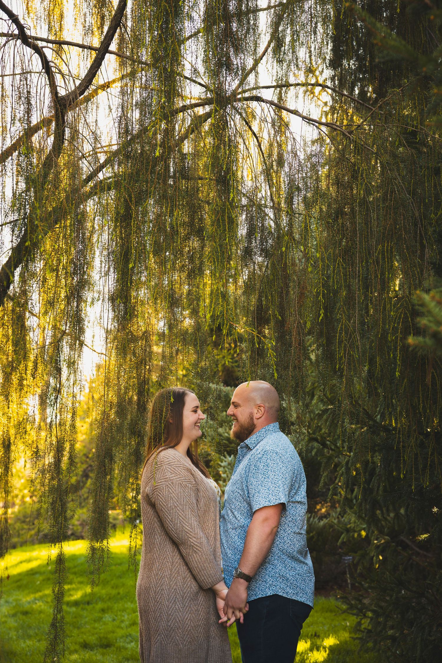 Couple shares an intimate moment under a weeping willow tree with golden sunlight filtering through.