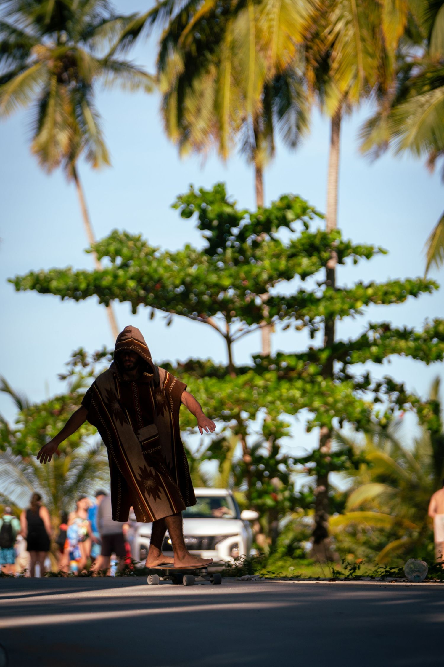 Silhouette of a skateboarder riding under palm trees on a tropical road.