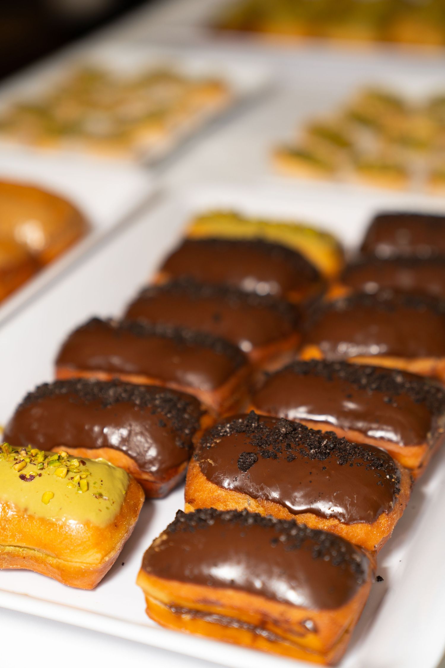 Close-up of chocolate-covered pastries arranged in rows with poppy seed garnish.
