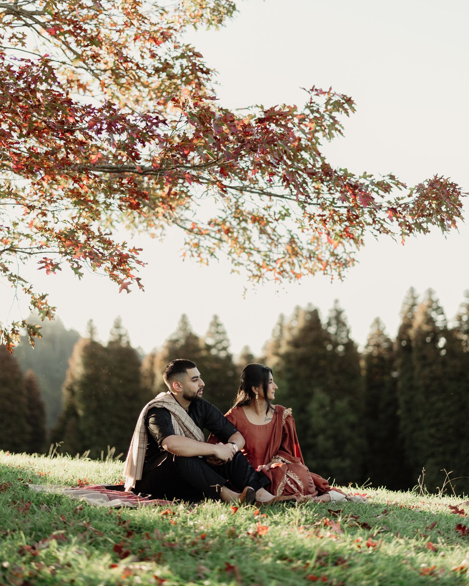 Couple in traditional Indian attire sitting on grass under autumn tree with colorful foliage and evergreen forest backdrop.