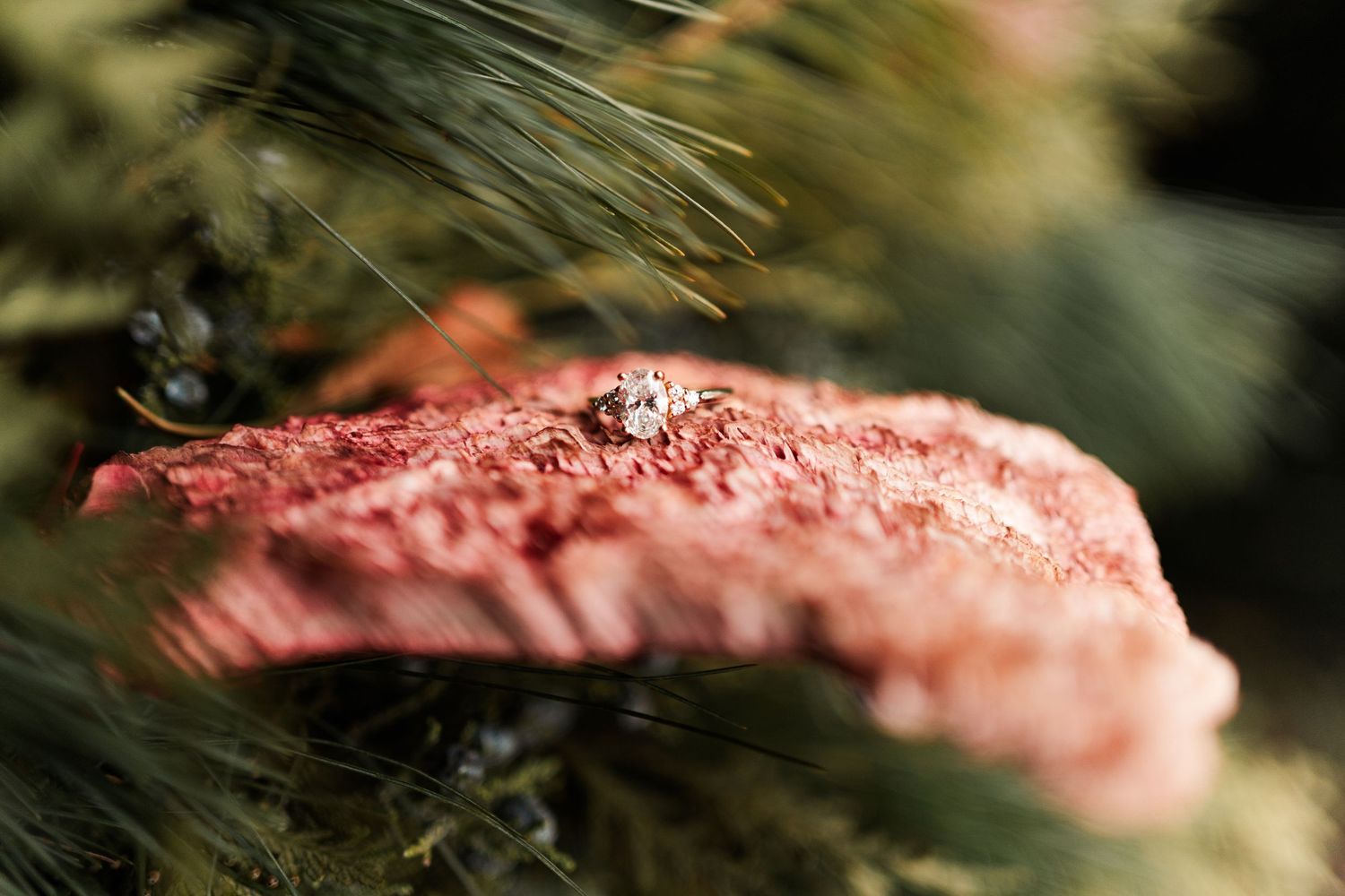 Close-up view of a delicate white and pink floral bouquet with green foliage.
Niagara engagement photos.