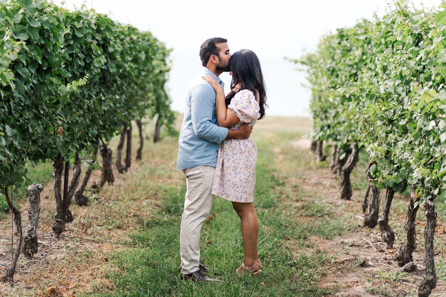 A couple walking through rows of grapevines in a scenic vineyard during sunset.
Niagara Proposal photos