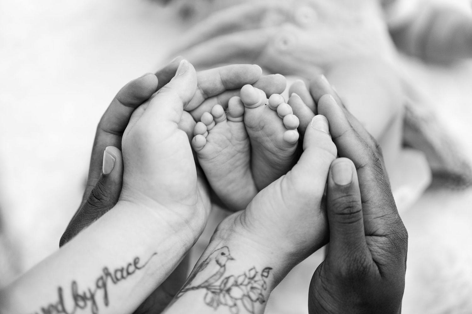 Close up of tiny newborn baby feet and hands on white background.
Niagara newborn photos.